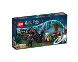 LEGO® Harry Potter™ 76400 Hogwarts™ Carriage and Thestrals, Age 7+, Building Blocks, 2022 (121pcs)