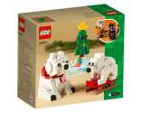 LEGO® LEL Iconic 40571 Wintertime Polar Bears, Age+, Building Blocks, 2022 (312pcs)