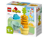 LEGO® DUPLO 10981 Growing Carrot, Age 1½+, Building Blocks, 2023 (11pcs)