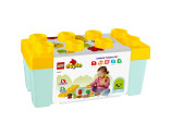 LEGO® DUPLO 10984 Organic Garden, Age 1½+, Building Blocks, 2023 (43pcs)