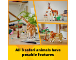 LEGO® Creator 3 in 1 31150 Wild Safari Animals, Age 9+, Building Blocks, 2024 (780pcs)