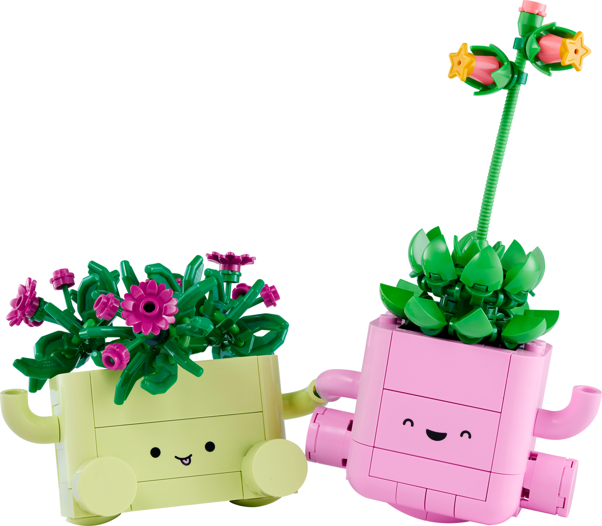 LEGO Botanicals 11506 Rocking Plants product