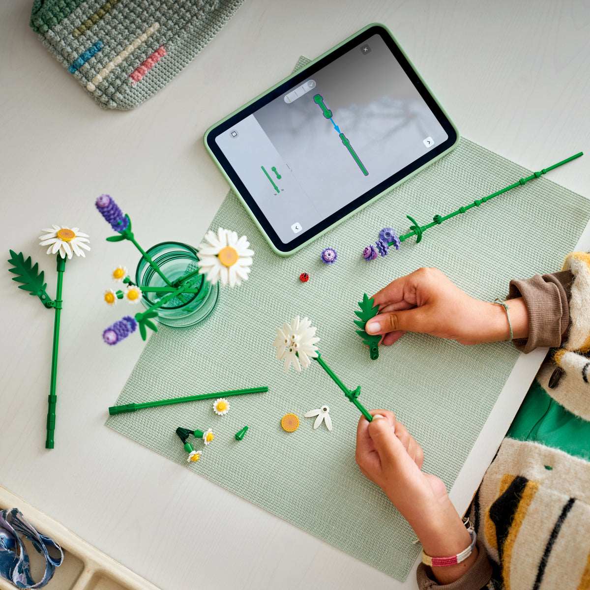 LEGO Botanicals 11508 Daisies lifestyle