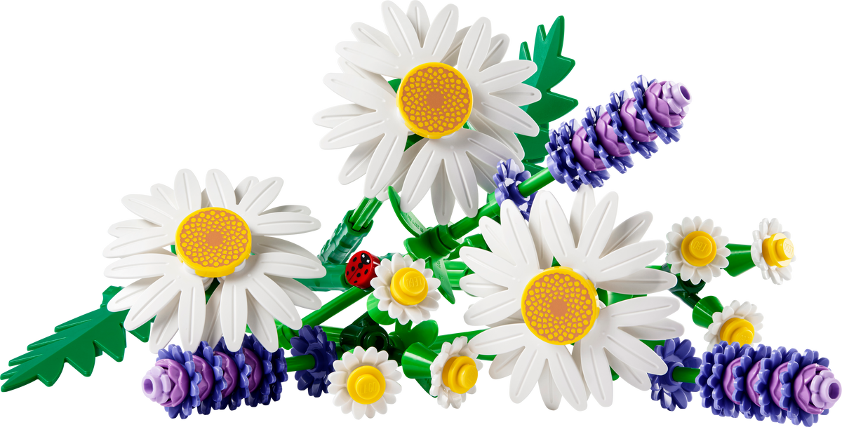 LEGO Botanicals 11508 Daisies product