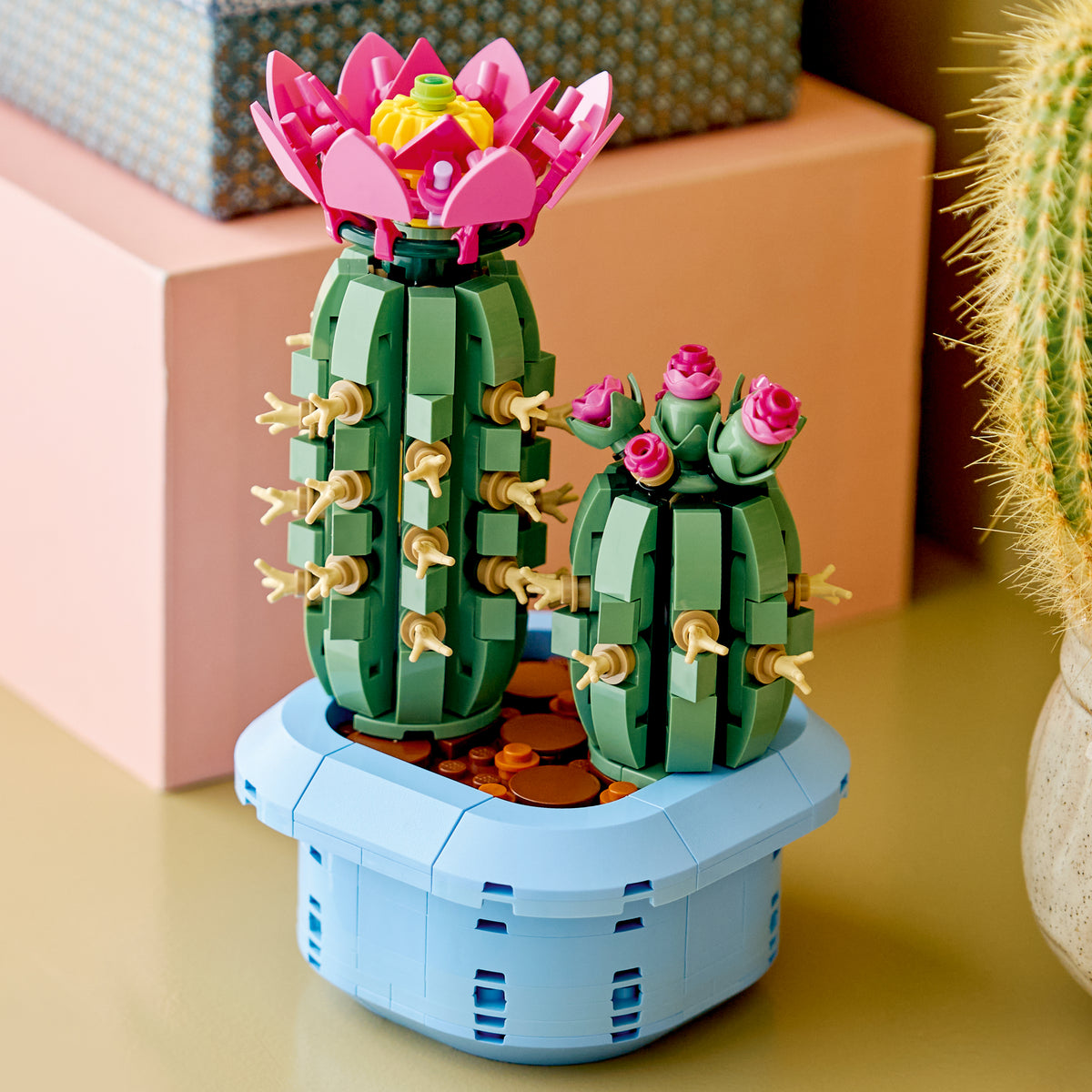 LEGO Botanicals 11509 Flowering Cactus lifestyle